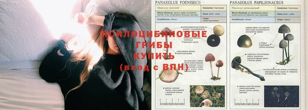 2c-b Алексин