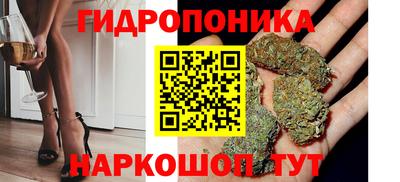 дмт Гай