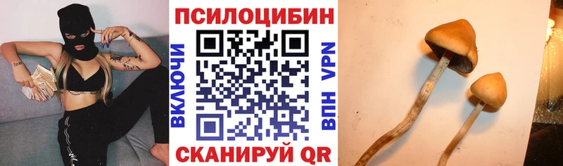 МЕГА tor  Красногорск  сайты даркнета Telegram  Галлюциногенные грибы прущие грибы 