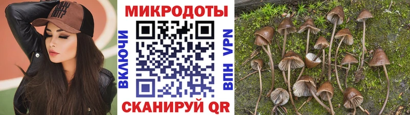 Псилоцибиновые грибы мицелий Красногорск