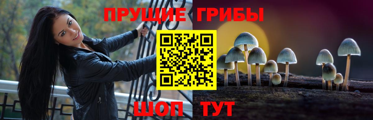 Псилоцибиновые грибы Psilocybine cubensis  Вход с VPN  Красногорск  Галлюциногенные грибы мицелий 